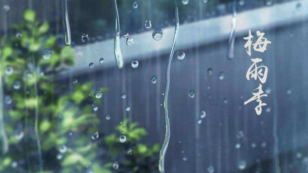 关于江南梅雨季节诗词（熟尽黄梅雨意深，梅子黄时雨）