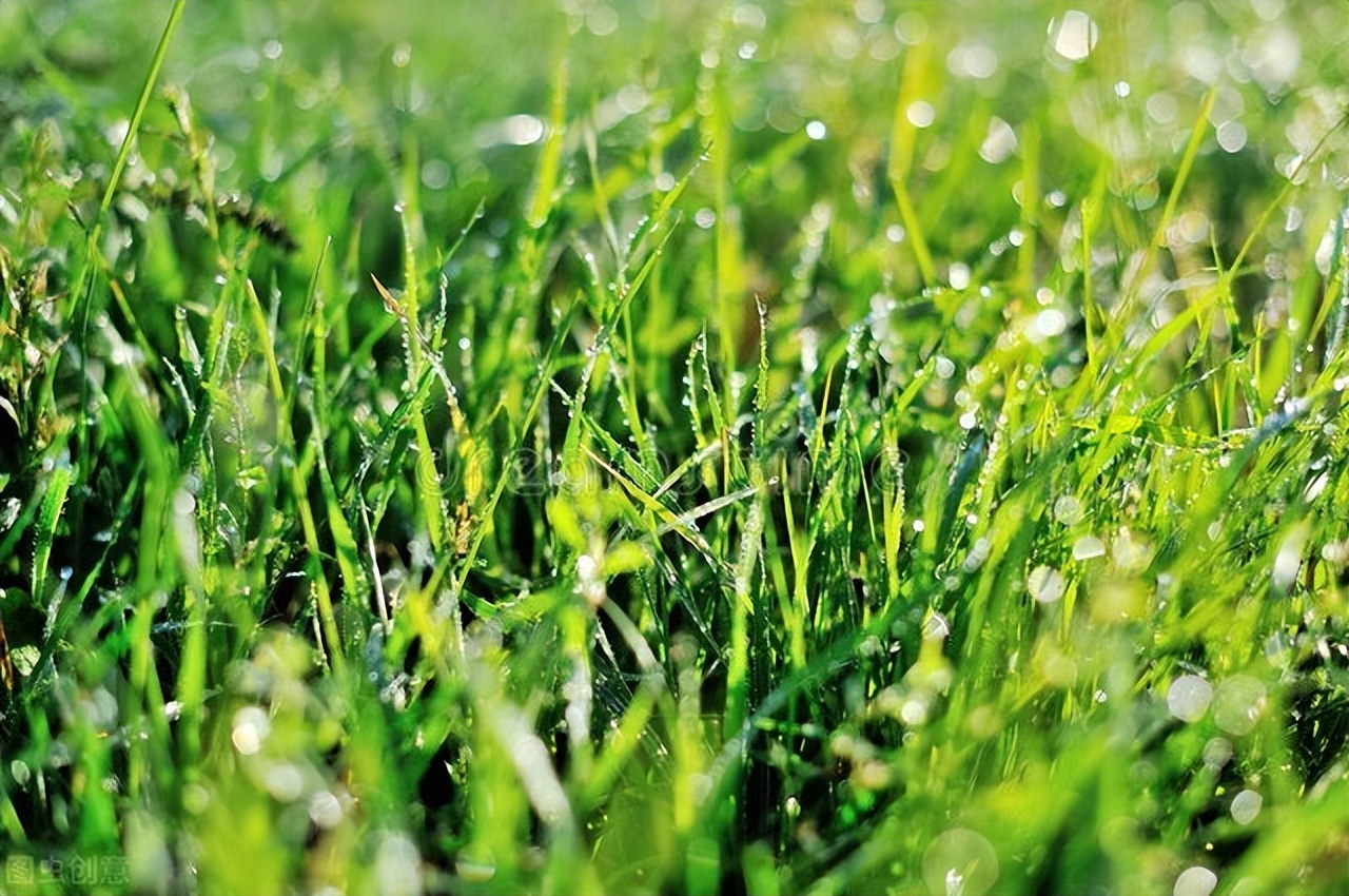 赞美夏日雨天的古诗词6首，亮丽活泼的夏日雨后诗作