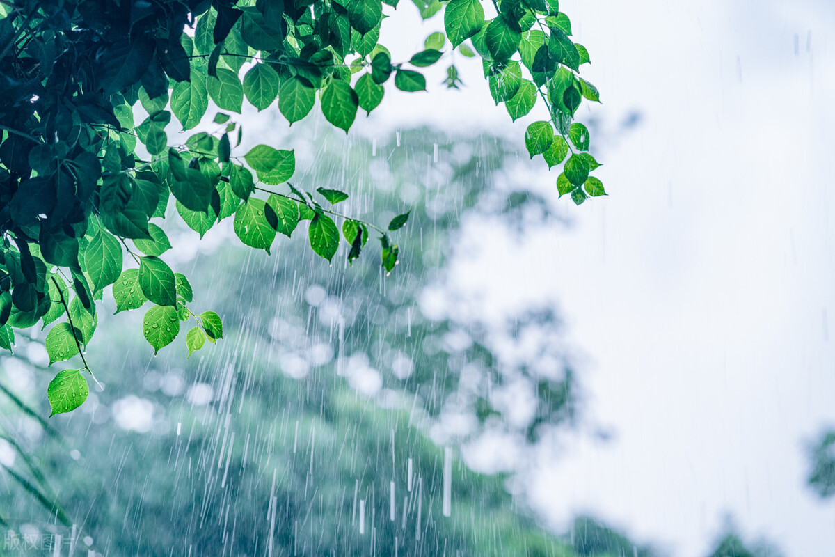 赞美夏日雨天的古诗词6首，亮丽活泼的夏日雨后诗作