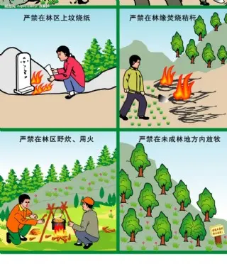 2022森林防火安全教育主题活动方案模板（森林防火安全教育宣传策划方案范本）