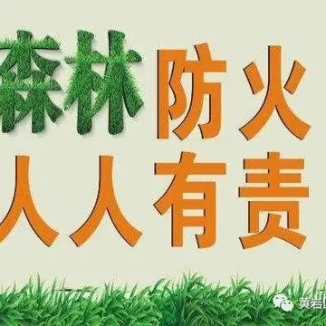 2022森林防火野外火源管控实施方案范本（森林防火野外禁燃管理工作方案模板）