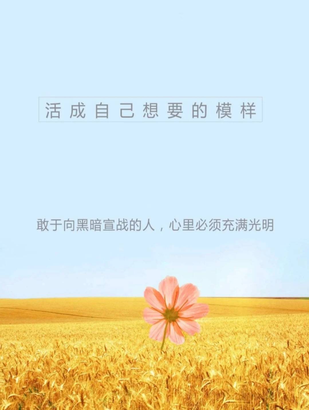 每日正能量激励短语（不要抱怨，心怀善念）