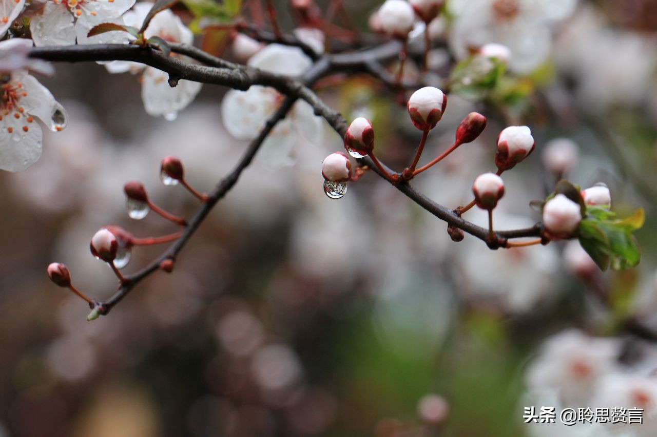 精选三十首怀念过去的诗词（山依旧好，人憔悴了）