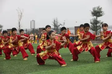 2022学校举行武术交流主题活动策划书范文（全国中小学生武术健身教育策划案范例）