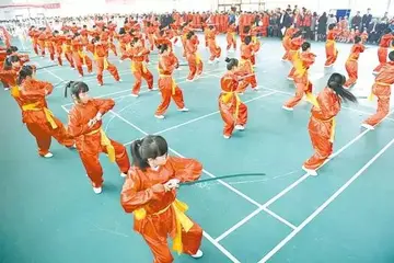 2022学校举行武术交流主题活动策划书范文（全国中小学生武术健身教育策划案范例）