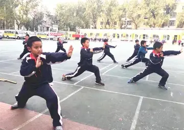 2022学生武术社团习武活动心得体会范文（院校武术协会学习武术心得感悟模板）