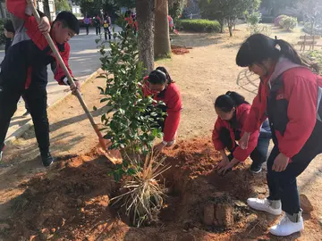 有关植树节保护树木宣传口号推荐（保护树木，人人有责）