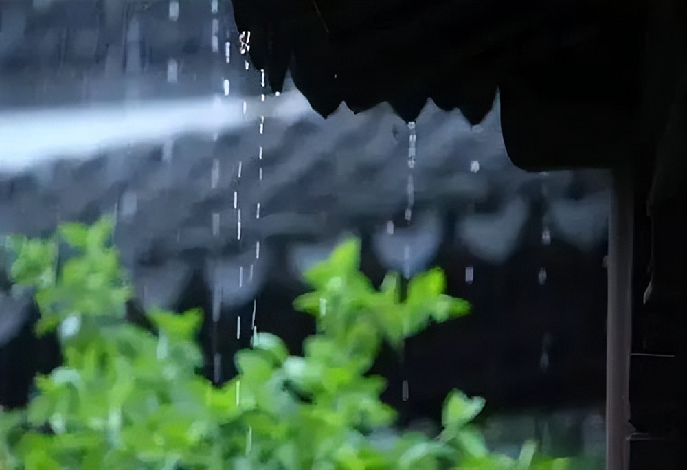 关于盛夏的经典诗句推荐（盛夏时光静浅，倚窗听雨绵绵）