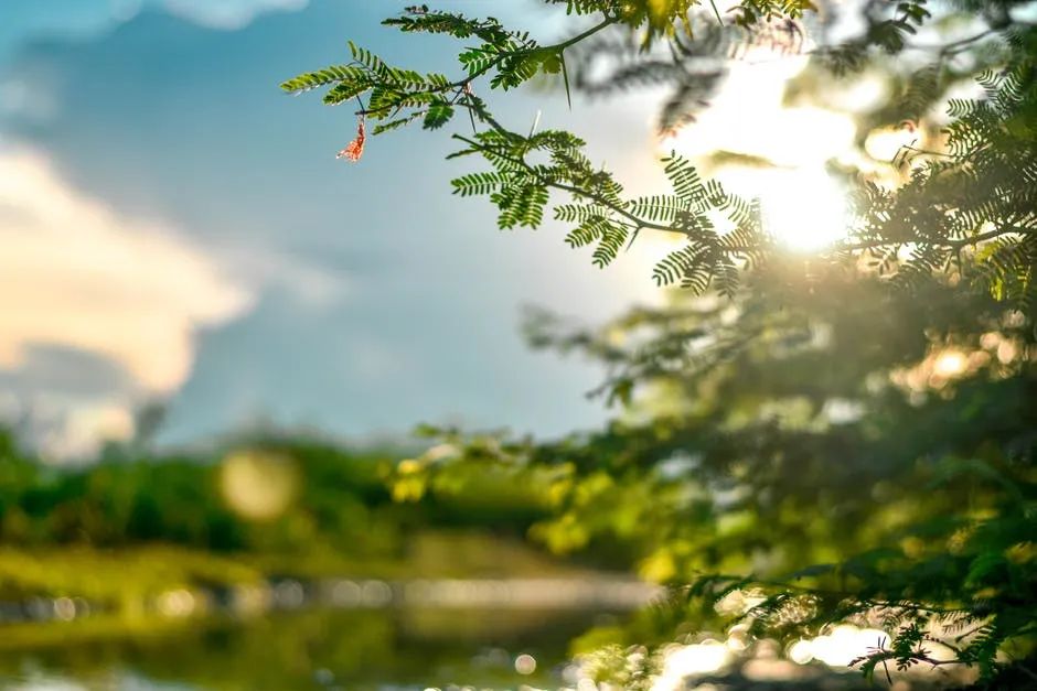 有关夏至清凉一夏的唯美诗词古句（夏渐深，暑意浓）