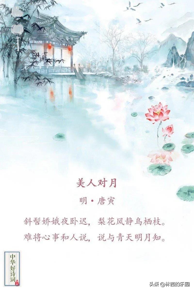 关于描述美人的8首诗词（水殿风来珠翠香，芙蓉不及美人妆）