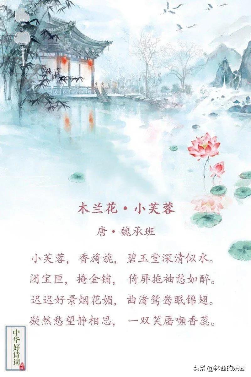 关于描述美人的8首诗词（水殿风来珠翠香，芙蓉不及美人妆）