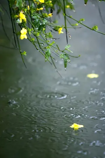 描写春雨的句子和段落（形容春雨滋润万物的句子）