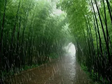 描写春雨的句子和段落（形容春雨滋润万物的句子）