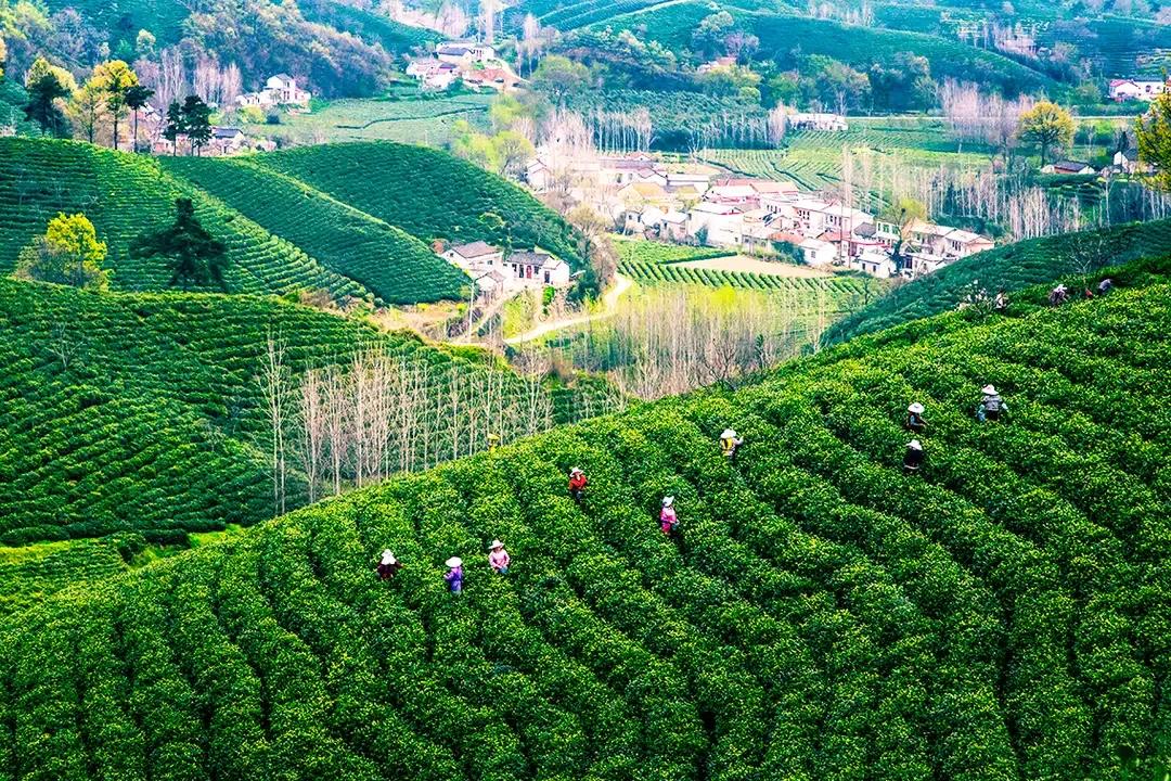 赞美山水人家美的诗词，山水人家间的唯美诗词