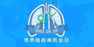 2022三·二四世界防治结核病日活动总结范文（3.24世界防治结核病日宣传工作总结范例）