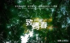 回忆过去致青春的语录集锦（无怨无悔，青春永在）