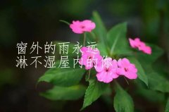 表达生活感悟的经典哲理语录（生活如水，平淡最美）