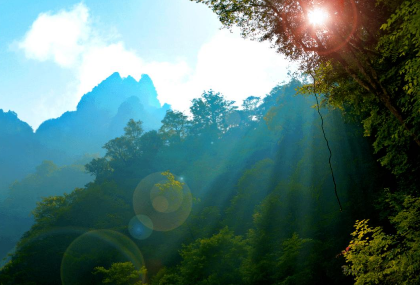 形容登山后心情的诗句（登高望远，回首山河与故乡）