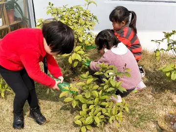 2022大班孩子312植树节主题活动方案模板（大班种植绿树植树节实施策划方案范本）