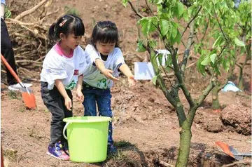 2022添绿共植大班植树节活动策划书范文（植抵人心大班儿童植树节策划案范例）