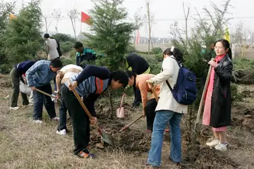 2022绿化共享大学植树节活动策划书范文（贡献绿色大学植树节主题策划案范例）