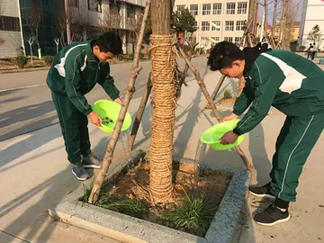 2022绿化共享大学植树节活动策划书范文（贡献绿色大学植树节主题策划案范例）