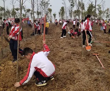 2022植树节活动校园策划实施方案模板（3.12植树节活动流程学校工作方案范本）