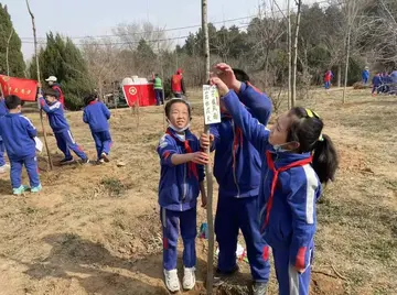 2022植树节活动校园策划实施方案模板（3.12植树节活动流程学校工作方案范本）