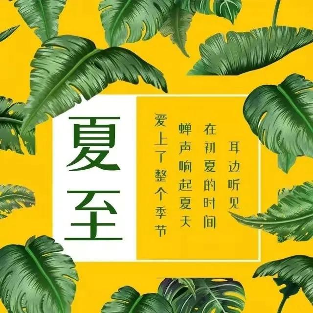 夏至节气简短祝福语推荐（夏至送你清风一缕，愿你神清气爽）