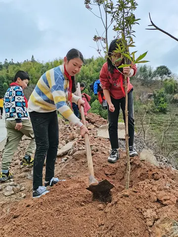 2022院校312植树节倡导活动策划书范文（学校3·12植树节宣传教育策划案范例）