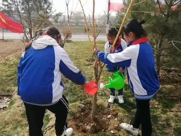 2022院校312植树节倡导活动策划书范文（学校3·12植树节宣传教育策划案范例）