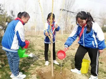 2022院校312植树节倡导活动策划书范文（学校3·12植树节宣传教育策划案范例）