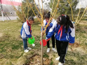 2022院校312植树节倡导活动策划书范文（学校3·12植树节宣传教育策划案范例）