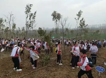 2022院校312植树节倡导活动策划书范文（学校3·12植树节宣传教育策划案范例）