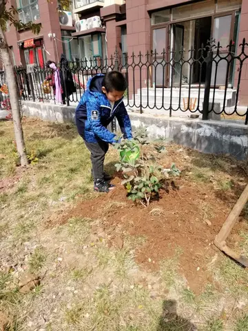 2022院校312植树节倡导活动策划书范文（学校3·12植树节宣传教育策划案范例）