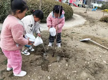 2022幼儿园3.12全国植树节活动方案范文（312全国植树节幼儿园策划方案模板）