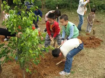 2022幼儿园3.12全国植树节活动方案范文（312全国植树节幼儿园策划方案模板）