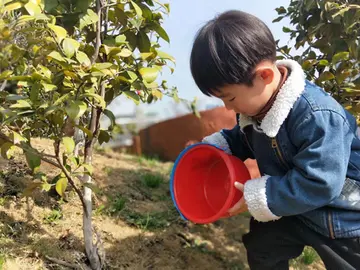 2022幼儿园3.12全国植树节活动方案范文（312全国植树节幼儿园策划方案模板）