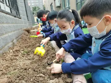 2022幼儿园3.12全国植树节活动方案范文（312全国植树节幼儿园策划方案模板）