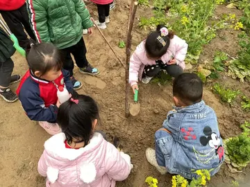 2022幼儿园3.12全国植树节活动方案范文（312全国植树节幼儿园策划方案模板）