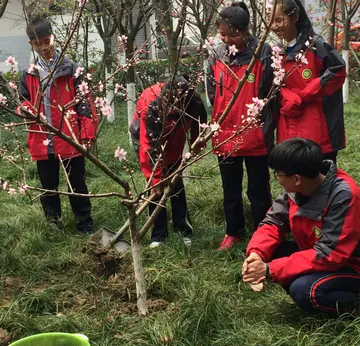 2022勃勃生机中学生植树节活动方案模板（绿色理想中学植树节宣传策划方案范例）