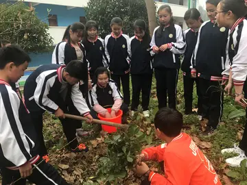 2022勃勃生机中学生植树节活动方案模板（绿色理想中学植树节宣传策划方案范例）