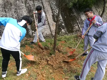 2022勃勃生机中学生植树节活动方案模板（绿色理想中学植树节宣传策划方案范例）