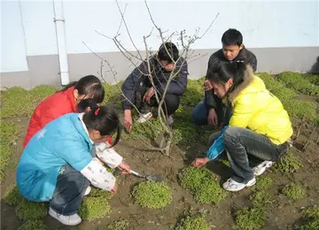 2022勃勃生机中学生植树节活动方案模板（绿色理想中学植树节宣传策划方案范例）