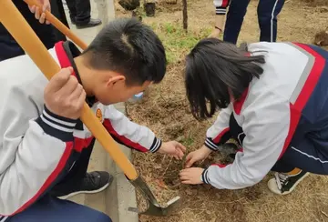 2022勃勃生机中学生植树节活动方案模板（绿色理想中学植树节宣传策划方案范例）