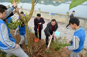 2022勃勃生机中学生植树节活动方案模板（绿色理想中学植树节宣传策划方案范例）