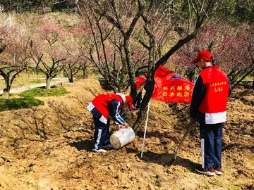 2022植树绿土中学植树节活动策划书范文（中学生312全民植树节宣传策划案范本）