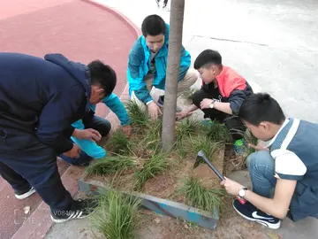 2022植树绿土中学植树节活动策划书范文（中学生312全民植树节宣传策划案范本）