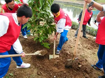 2022植树绿土中学植树节活动策划书范文（中学生312全民植树节宣传策划案范本）