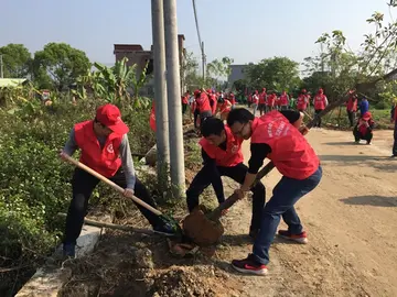 2022植树绿土中学植树节活动策划书范文（中学生312全民植树节宣传策划案范本）